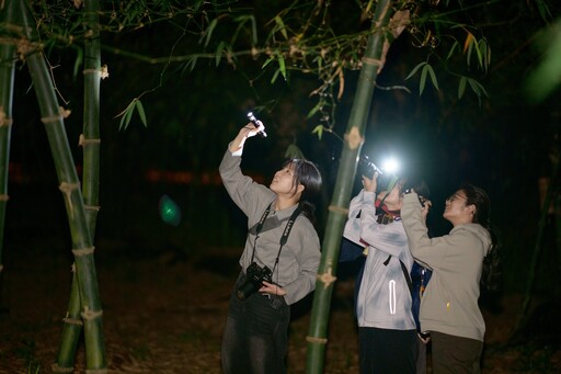 限額40人！嘉市博物館辦「來嘉找蛙」生態營 認識諸羅樹蛙魅力