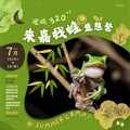 限額40人！嘉市博物館辦「來嘉找蛙」生態營 認識諸羅樹蛙魅力