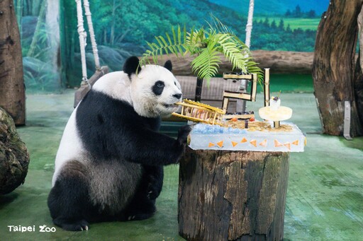 圓圓21歲生日快樂! 保育員獻上「海灘風冰蛋糕」萌翻全場