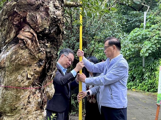 北市淨零教育里程碑！47所先鋒學校完成碳盤查 四年計畫邁向碳中和校園
