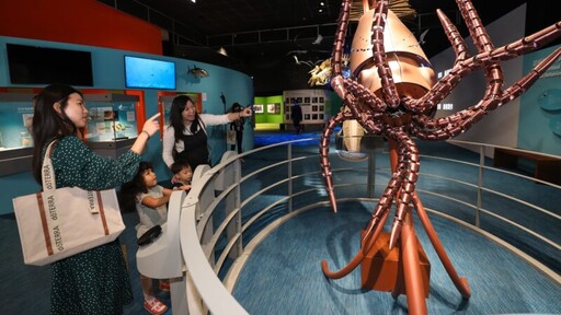 科博館常設展《奇幻自然》 巨大魷魚與奔跑動物標本超吸睛