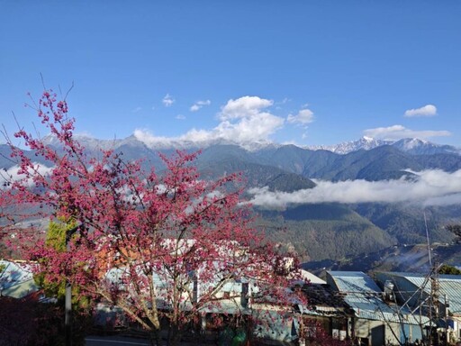 梨山四大鏡頭君一飽美景 上梨山賞雪景看櫻花