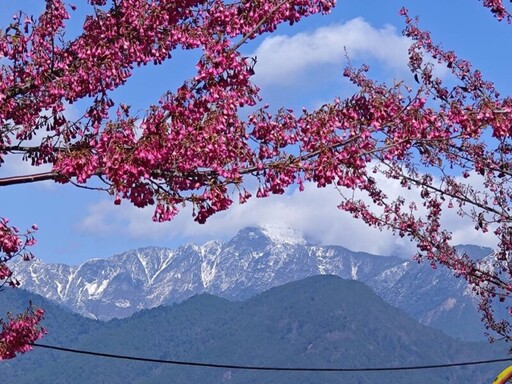 梨山四大鏡頭君一飽美景 上梨山賞雪景看櫻花