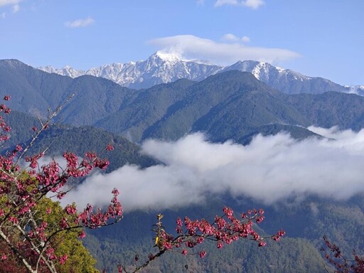 梨山四大鏡頭君一飽美景 上梨山賞雪景看櫻花