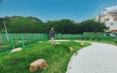 民眾日益重視寵物權益 桃市府陸續設置寵物友善公園