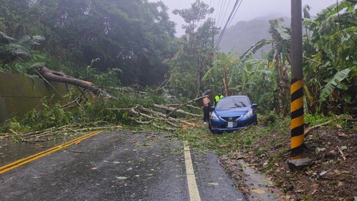 颱風凱米肆虐 東勢警即時救援樹倒駕駛