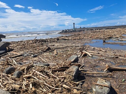 凱米颱風後海洋局迅速清理大量漂流木 呼籲切勿任意拿取