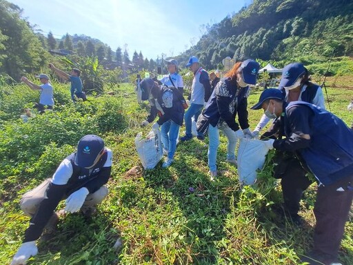 桃園「除蔓日活動」線上報名 免費食農教育及環境教育體驗