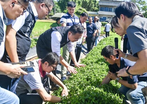 桃園推動環保農膜示範區 自然分解紙類做成對環境友善