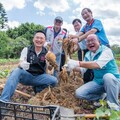 大園甘藷評鑑活動登場 暨農產品展售及各種趣味競賽