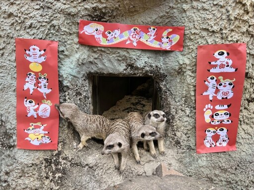 動物園推兒童新春免費入園 蛇來壽山賀新春活動開跑