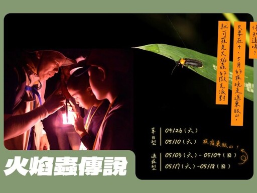 邀您夜探夢幻森林 東眼山螢火蟲季熱烈報名中