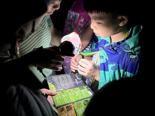 邀您夜探夢幻森林 東眼山螢火蟲季熱烈報名中