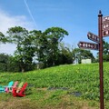 「花現台七-繡球金針農遊趣」輕旅行 5/10日登場線上報名