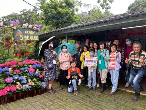 台七線繡球與金針花盛開 把握賞花時機來農遊體驗買特色農產