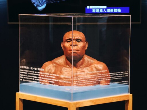 科博館推出限定《丹尼索瓦人到臺灣》特展