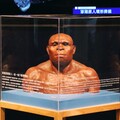 科博館推出限定《丹尼索瓦人到臺灣》特展