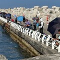 港務公司打造友善釣魚環境|高雄港防波堤釣區擴大至490公尺獲好評