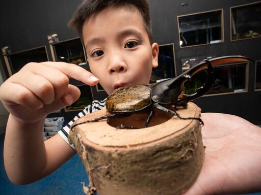 暑假狂歡!12歲以下兒童免費入園,美洲野牛、孟加拉虎七月與您見面