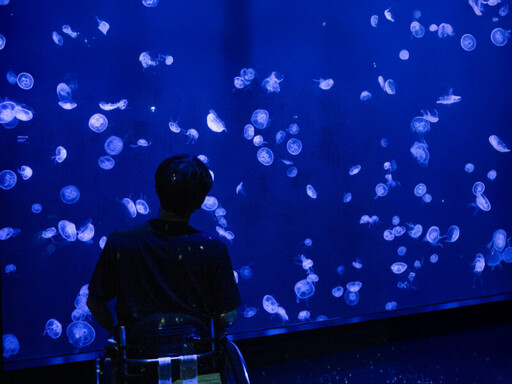 台中海洋館迎接韓國大邱身障體育學會 台韓國際交流展現城市創新活力