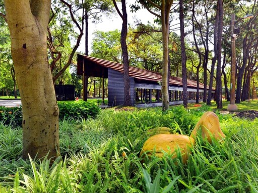 桃園環保局建置氣候「調適圖台」 以即時環境數據強化高溫防護