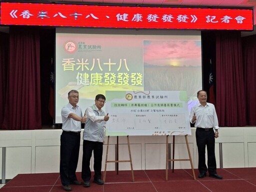 農試所發表台農88號 香米 耐熱省水、智慧監測打造永續稻作