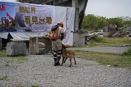 汪汪隊立大功真實上場！全臺34組菁英挑戰114年全國搜救犬國際級IRO評量測驗