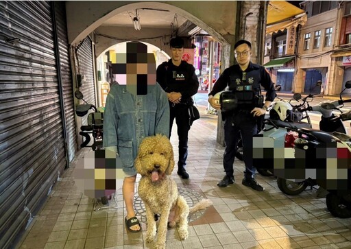 巨型貴賓犬「百威」二度走失 警方深夜出動助其平安返家