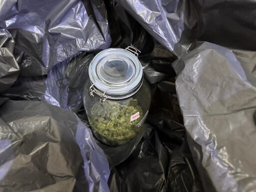 執行擴檢眼尖警一眼辨出大麻花 當場逮捕嫌犯並追查出嘉義縣市大麻種植場