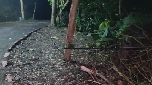 吊臂車惹禍 電線一扯2桿倒 登山客砸傷骨折