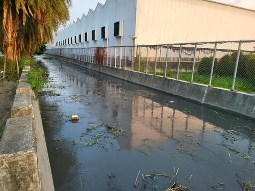 排水溝清理變「入土為安」!直擊清淤怪象