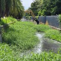 排水溝清理變「入土為安」！直擊清淤怪象