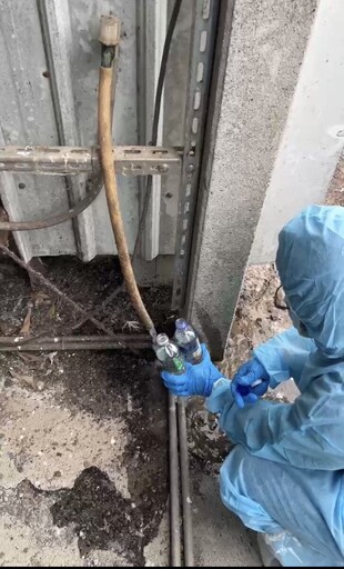 4萬顆雞蛋流出台中！彰化933場蛋雞場全檢驗