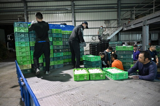 文雅畜牧場雞蛋混蛋疑雲 25萬顆銷毀保障食安