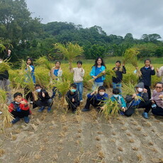 龜鱉大冒險 永靖福德國小帶學生玩出自然課