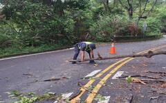 太平山區暴雨樹倒 警排除路障護路人