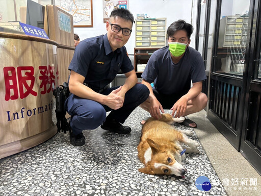 柯基離家出走跳上機車 熱心騎士載往警所求助