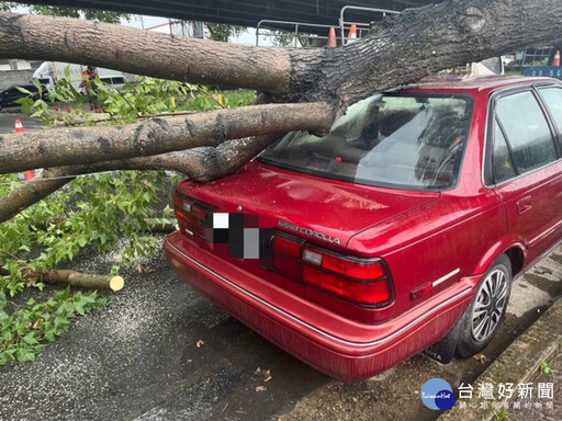 大雨路樹突倒塌砸2車 烏日警神救援疏導交通