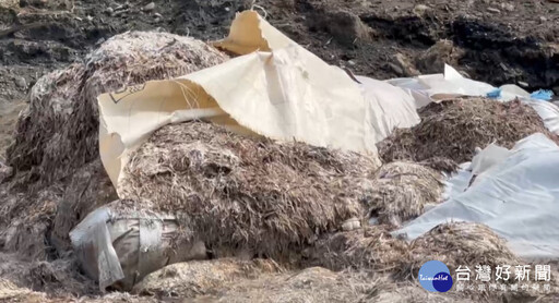 守護河川地 雲林檢警查獲400噸家禽廢渣