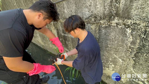 貓咪鑽入排水孔洞 他徒手讓其咬住手指救出