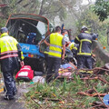 康芮颱風來襲 台14甲線小貨車遭倒木壓砸釀1死1傷