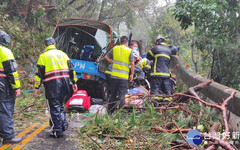 康芮颱風來襲 台14甲線小貨車遭倒木壓砸釀1死1傷