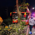 桃園平鎮區校車自撞交通事故 8名學生受傷緊急送醫救護