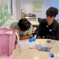 板橋女子投資遭詐騙損千萬 警民合作逮捕送檢偵辦