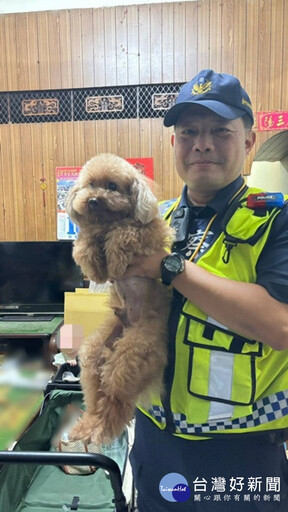 超聰明！紅貴賓逛大街迷航 直衝警局求助