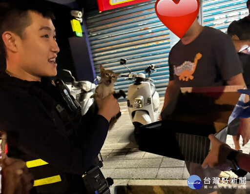 汽車引擎蓋傳來貓叫聲 板橋警成功救出受困幼貓