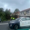 颱風凱米來襲、西區審計新村老榕樹傾倒壓車｜一分警即時處置