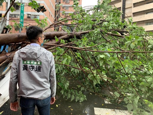 臺中市路樹倒塌案件攀升、國賠申請成功僅22件｜黃守達議員要求強化防範措施