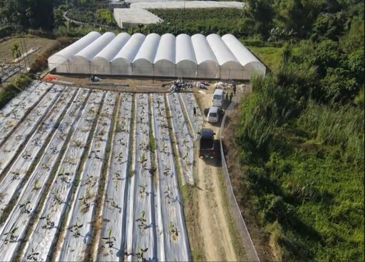 日夜跟監科技偵查｜雲林檢警憲破溫室大麻製毒場