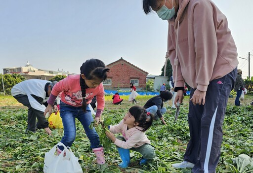 迎新年好彩頭｜雲林斗六拔蘿蔔助公益人潮滾滾